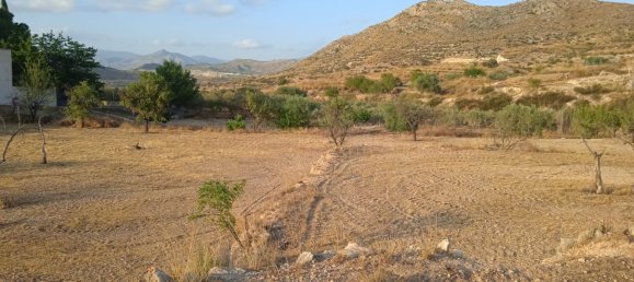  Land in Monovar, Spain No. 189040 6