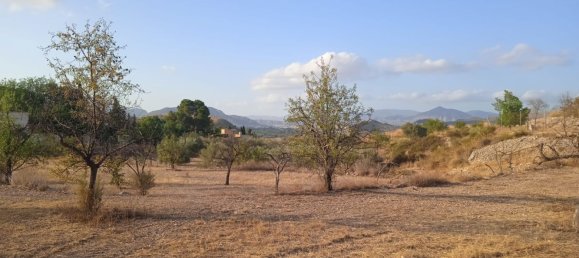  Land in Monovar, Spain No. 189040 18