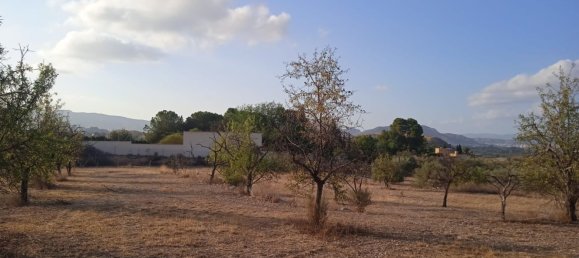 Land in Monovar, Spain No. 189040 16