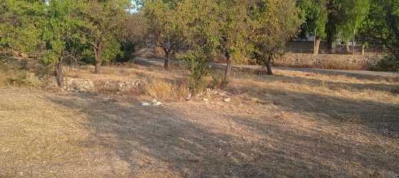  Land in Monovar, Spain No. 189040 12