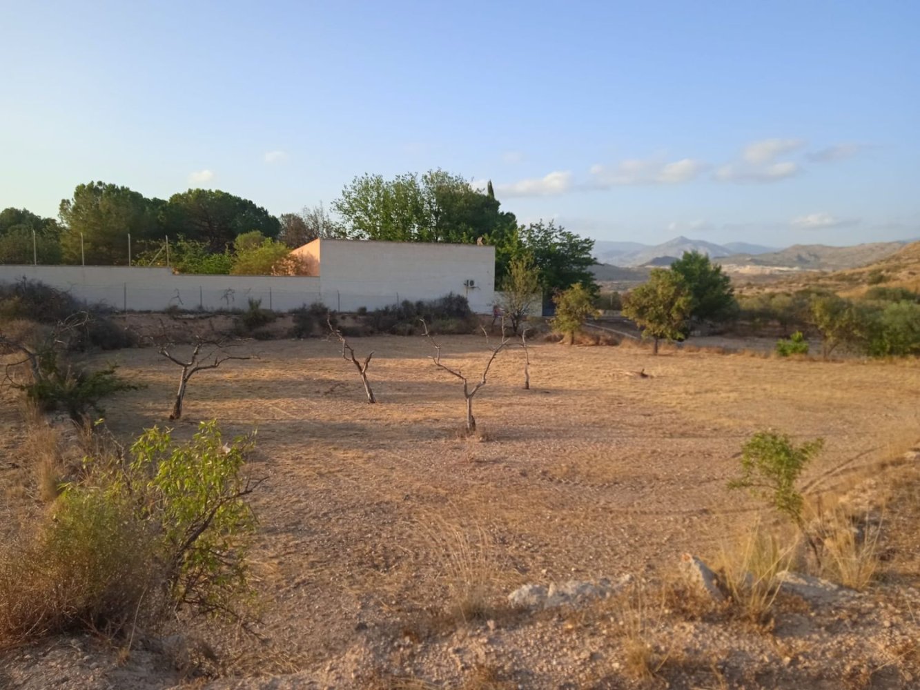  Land in Monovar, Spain No. 189040