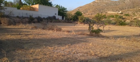  Land in Monovar, Spain No. 189040 9