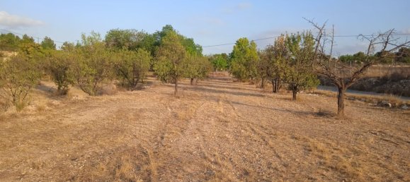  Land in Monovar, Spain No. 189040 7