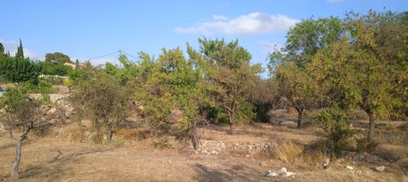  Land in Monovar, Spain No. 189040 5