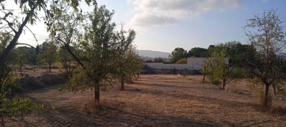  Land in Monovar, Spain No. 189040 19