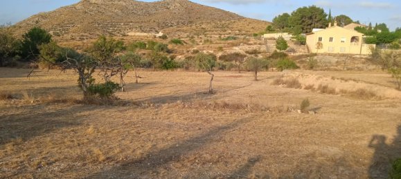  Land in Monovar, Spain No. 189040 15