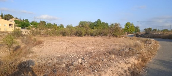  Land in Monovar, Spain No. 189040 17