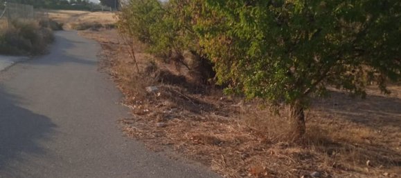  Land in Monovar, Spain No. 189040 2