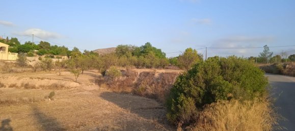  Land in Monovar, Spain No. 189040 8