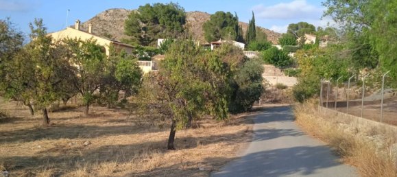  Land in Monovar, Spain No. 189040 4