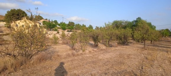  Land in Monovar, Spain No. 189040 13