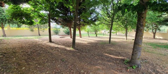 150m² Commercial property in Chalkidiki, Greece No. 3910 4