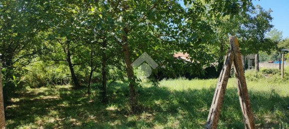 2-salle Maison à Valmontone, Italy No. 310102 4