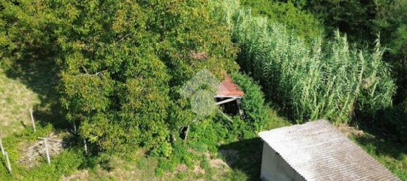 2-salle Maison à Valmontone, Italy No. 310102 14