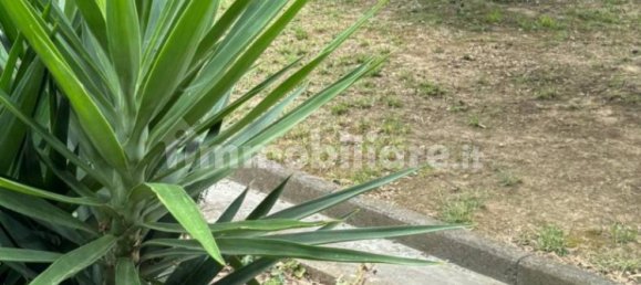 3 chambres Villa à Pontedera, Italy No. 177474 21