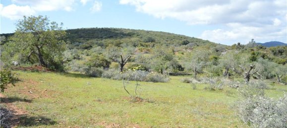 Terreno em Olhão, Portugal 80000 m² N.º 35607 19