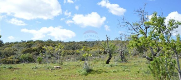 Terreno em Olhão, Portugal 80000 m² N.º 35607 11