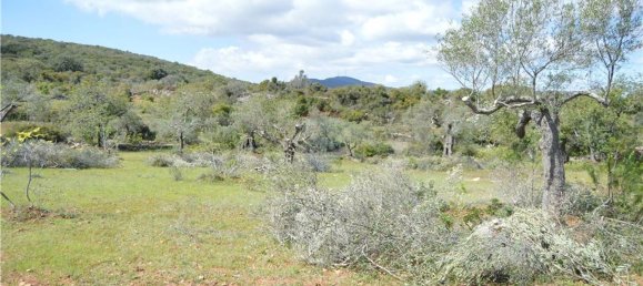 Terreno em Olhão, Portugal 80000 m² N.º 35607 20