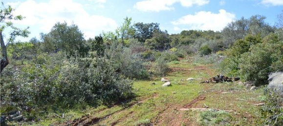 Terreno em Olhão, Portugal 80000 m² N.º 35607 2
