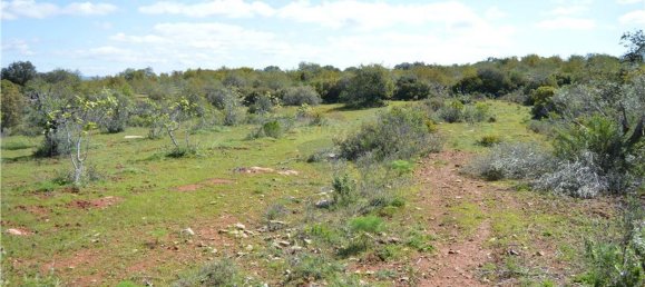 Terreno em Olhão, Portugal 80000 m² N.º 35607 8