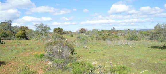 Terreno em Olhão, Portugal 80000 m² N.º 35607 12