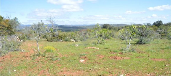 Terreno em Olhão, Portugal 80000 m² N.º 35607 9
