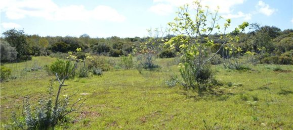 Terreno em Olhão, Portugal 80000 m² N.º 35607 10