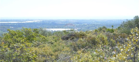 Terreno em Olhão, Portugal 80000 m² N.º 35607 13