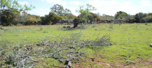 Terreno em Olhão, Portugal 80000 m² N.º 35607 3