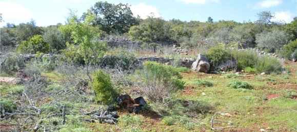 Terreno em Olhão, Portugal 80000 m² N.º 35607 4