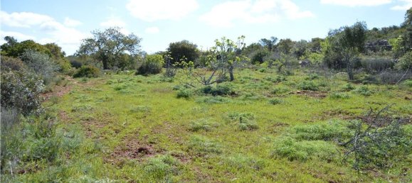 Terreno em Olhão, Portugal 80000 m² N.º 35607 7
