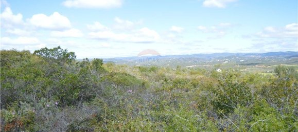 Terreno em Olhão, Portugal 80000 m² N.º 35607 16