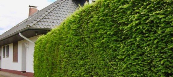 Здание с 8 комнатами в Pinneberg, Германия № 222398 4