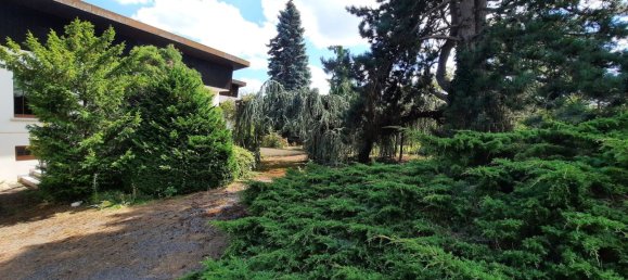 3 Schlafzimmer Haus in Uffholtz, France, Nr. 256060 5