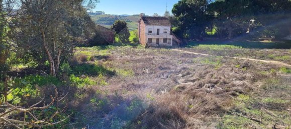 Земельный участок 3818м² в Мафра, Португалия № 161125 27