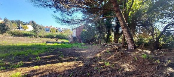 Земельный участок 3818м² в Мафра, Португалия № 161125 14