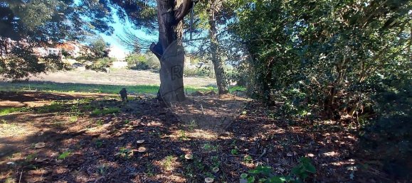 Земельный участок 3818м² в Мафра, Португалия № 161125 21