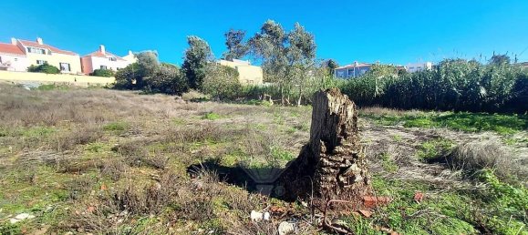 Земельный участок 3818м² в Мафра, Португалия № 161125 22