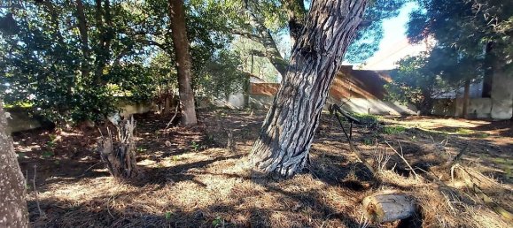 Земельный участок 3818м² в Мафра, Португалия № 161125 23