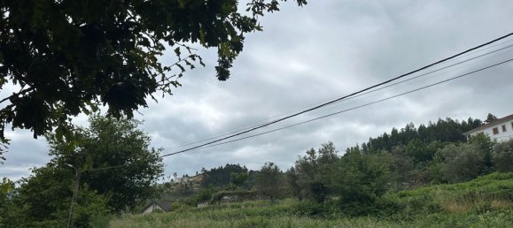  Land in Cinfaes, Portugal No. 190397 6