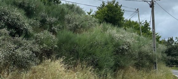  Land in Cinfaes, Portugal No. 190397 4