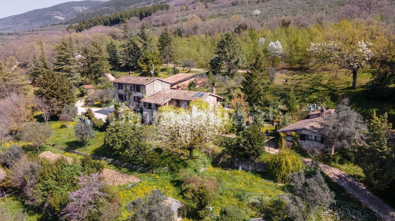 5-salle Propriété commerciale à Assisi, Italy No. 277172