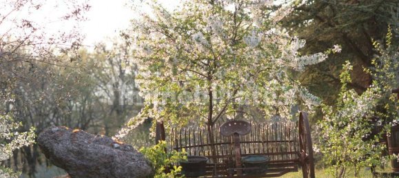 5-salle Propriété commerciale à Assisi, Italy No. 277172 36