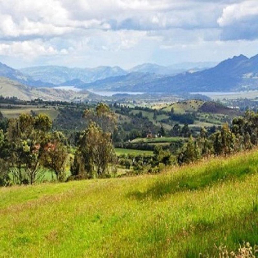  قطعة أرض في Cundinamarca, Colombia رقم 742