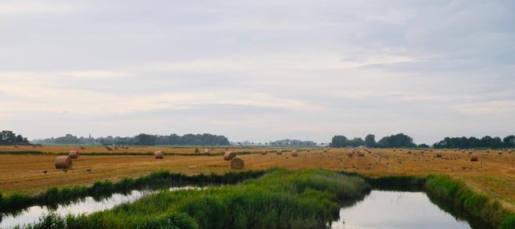 استوديو في Nordfriesland, Germany رقم 231291 4