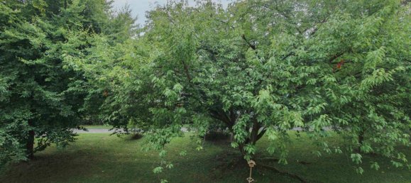 3 غرف نوم شقة في Wiesbaden, Germany رقم 305467 10