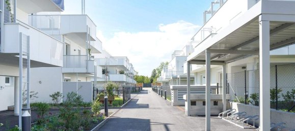 Studio in Maria Enzersdorf, Austria No. 256692 2