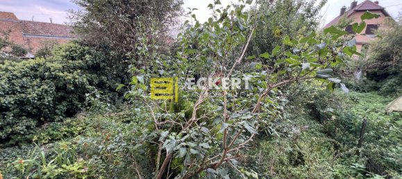 Casa T4 em Geispolsheim, France N.º 40934 4