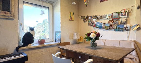 3 chambres Maison à Sierning, Austria No. 195311 3