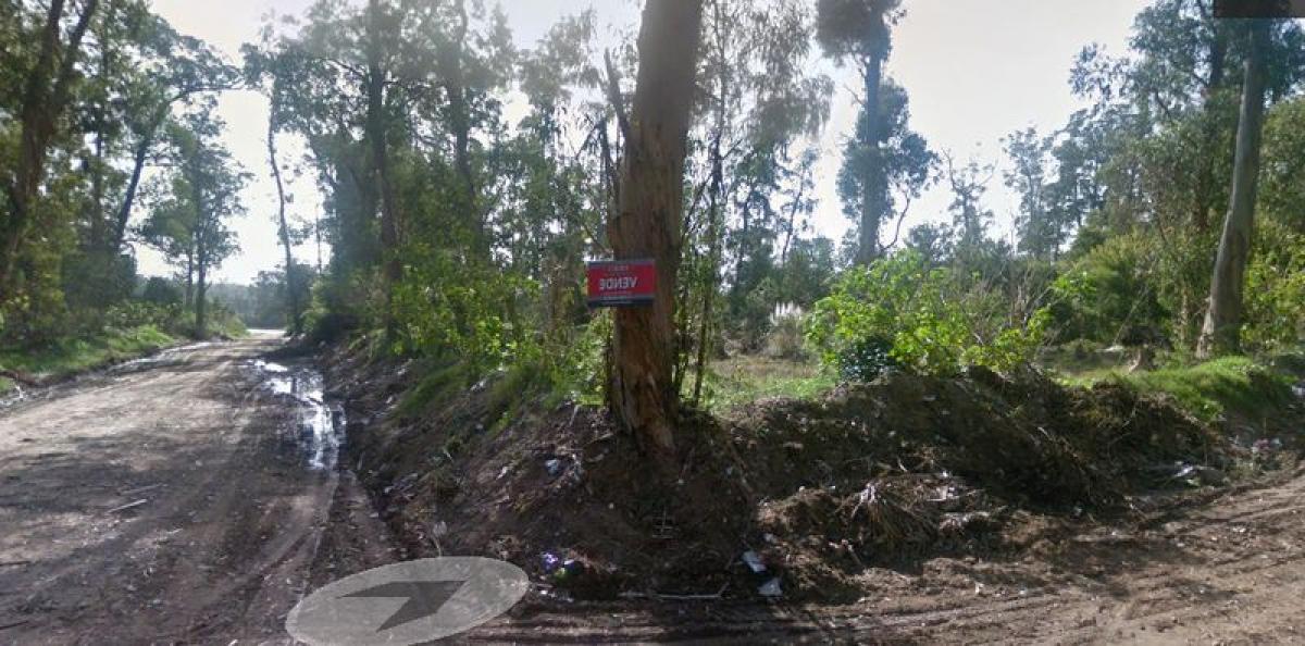 Grundstück in Maldonado, Uruguay, Nr. 15286